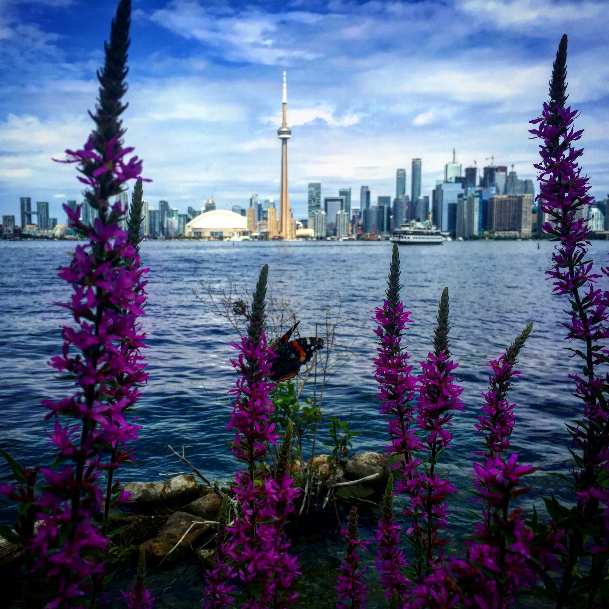 5 Road Trip Ideas To Niagara Falls From Cincinnati