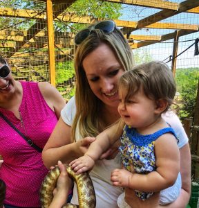 Hands on experiences at Kentucky Down Under 