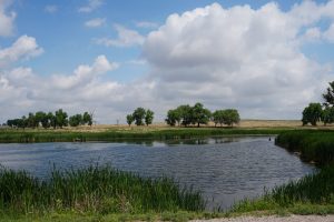 Rocky Mountain Arsenal Hiking 