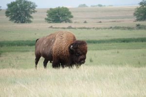Rocky Mountain Arsenal