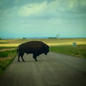 Rocky Mountain Arsenal