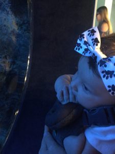 Baby Outings in Cincinnati, OH