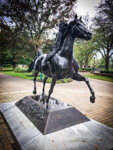 fun things to do in lexington