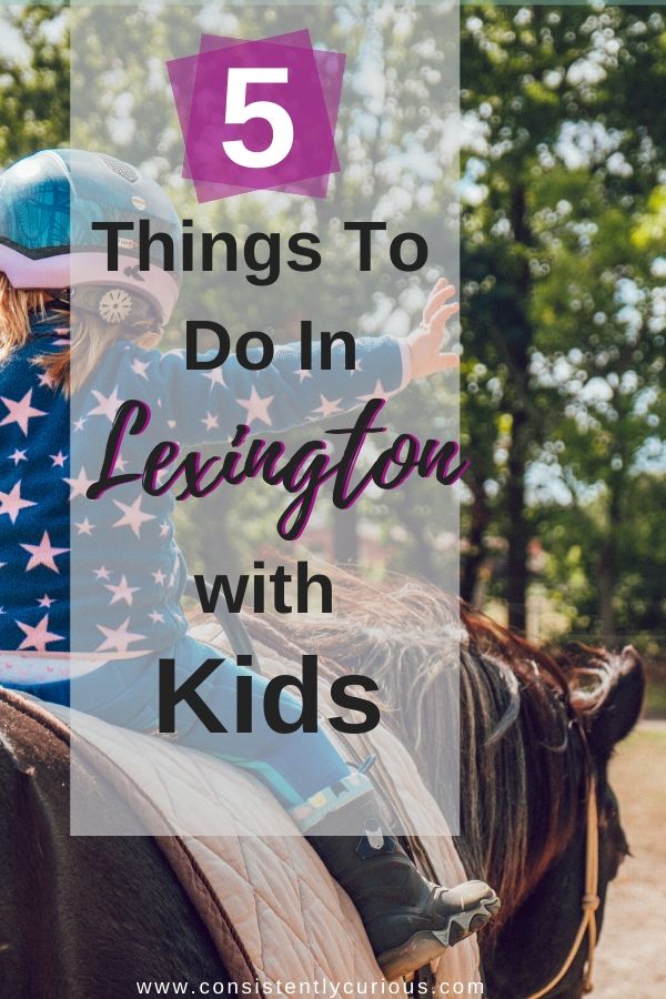 Things to do In Lexington With Kids Things to do In Lexington With Kids