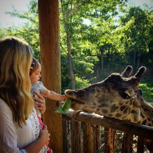 Activities for Young Toddlers- Zoo