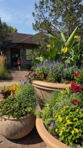 Entrance to Highfield Discovery Garden