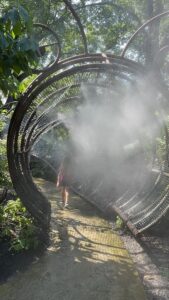 mister caterpillar at Highfield Discovery Garden
