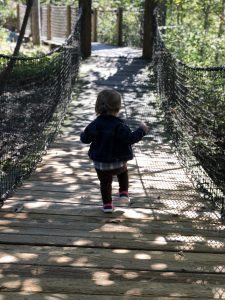 Swaying Bridge at Highfield Discovery Center