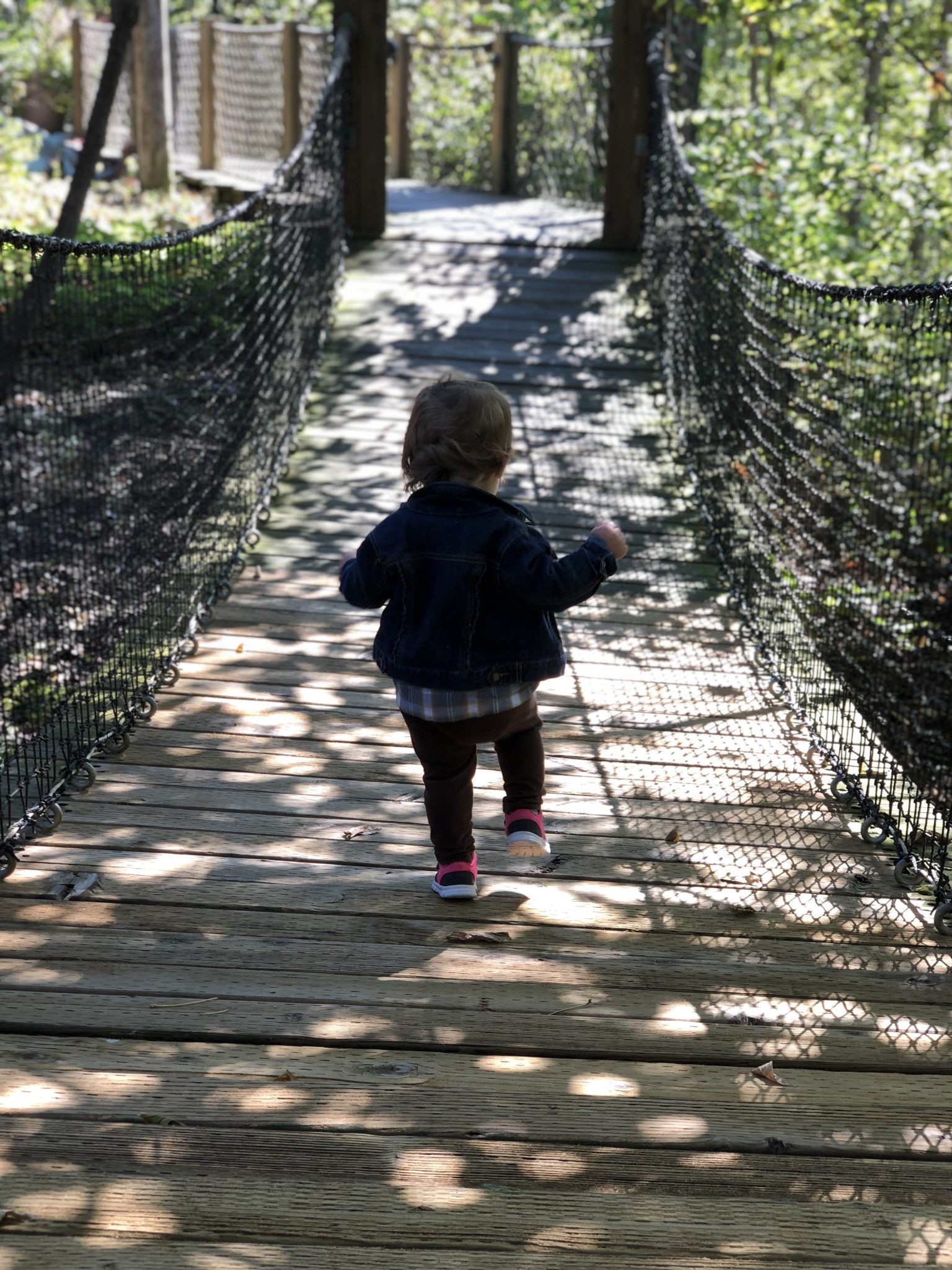 Highfield Discovery Garden Where Fairy Tales Come To Life