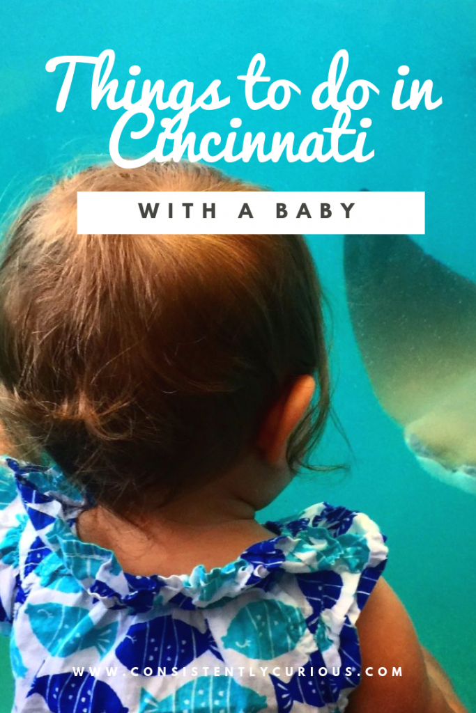 Things To Do With A Baby In Cincinnati 