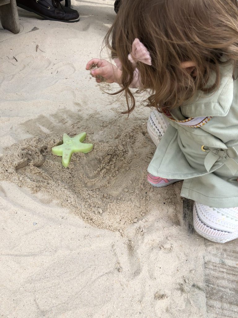 Things To Do With Toddlers In Gulf Shores Alabama Things To Do With Toddlers In Gulf Shores Alabama