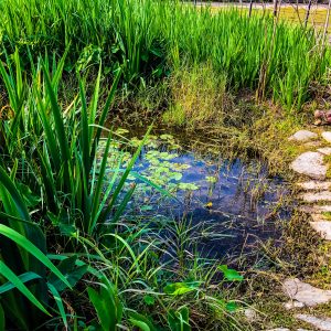 Outdoor Activities in Gulf Shores, AL