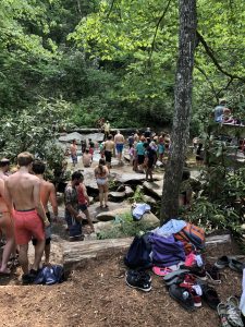 expectations vs reality