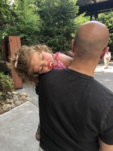 Tips For Dollywood with small kids