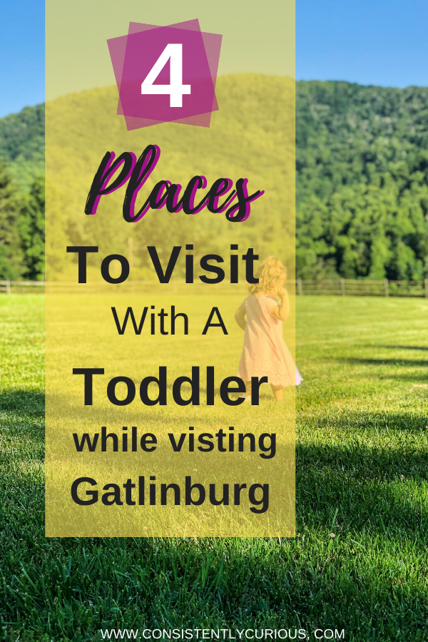 Toddler Activities In Gatlinburg 