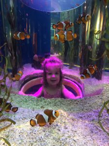 Ripley's Aquarium In Gatlinburg 