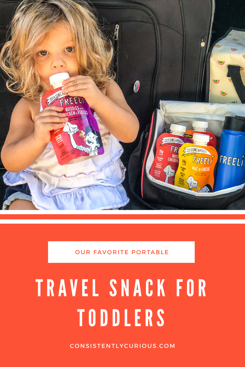 Travel snacks for toddlers 