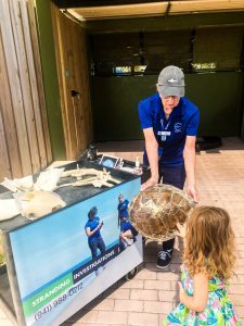 Mote Aquarium: Fun Things To Do With Kids in Sarasota