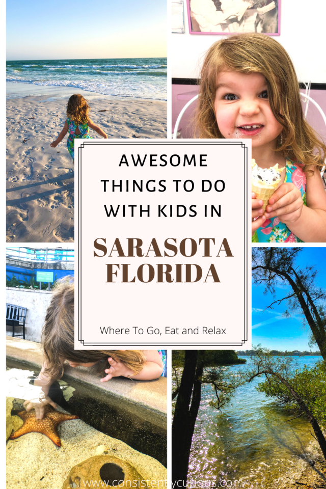 Things to do in Sarasota FL