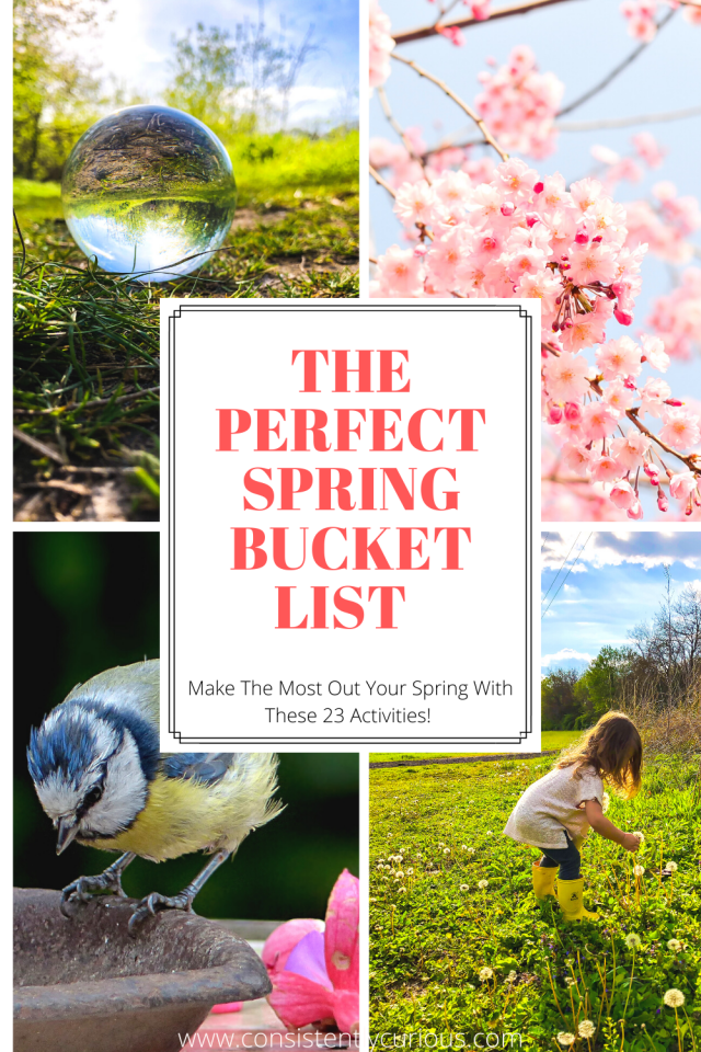 Spring Bucket List 