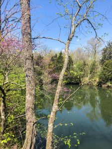 Fallsville Wildlife Area