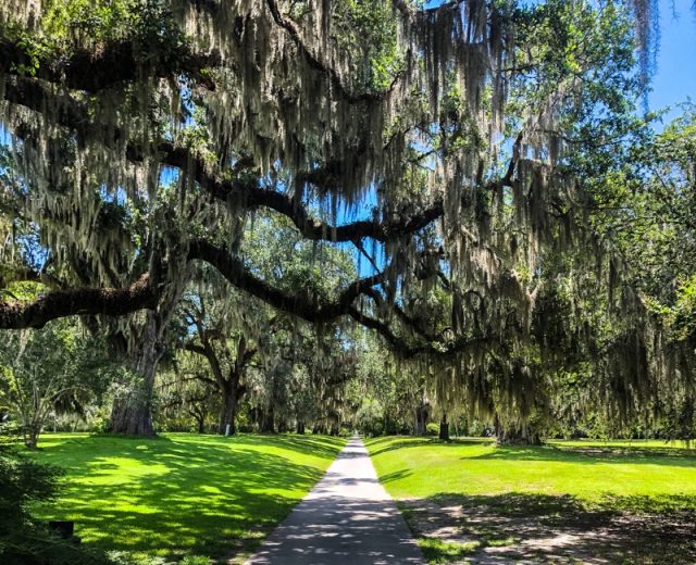 The Best Hiking Trails Near Myrtle Beach South Carolina