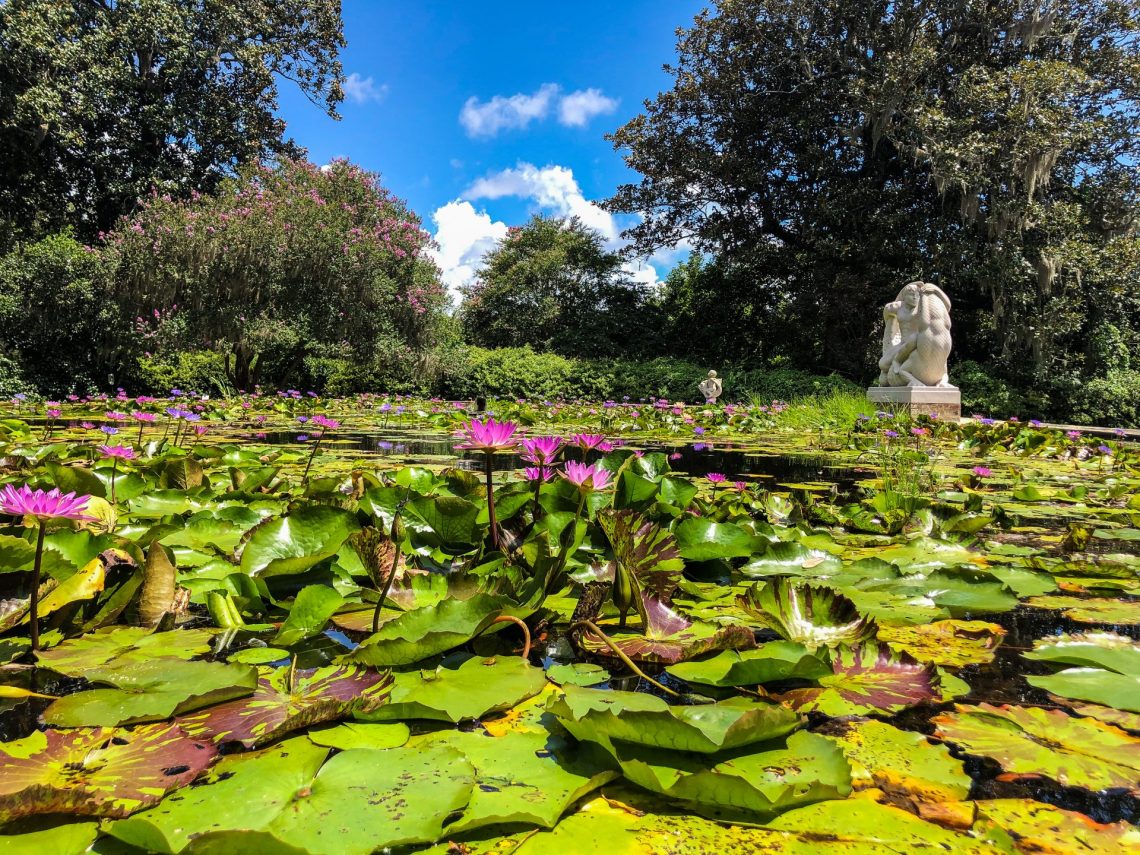 The Best Hiking Trails Near Myrtle Beach South Carolina