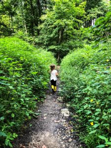 Caldwell Nature Preserve In Cincinnati 