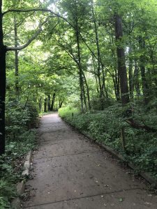 Caldwell Nature Preserve In Cincinnati: Paved Trail 