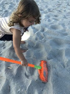 Ghost Crab hunting tips 