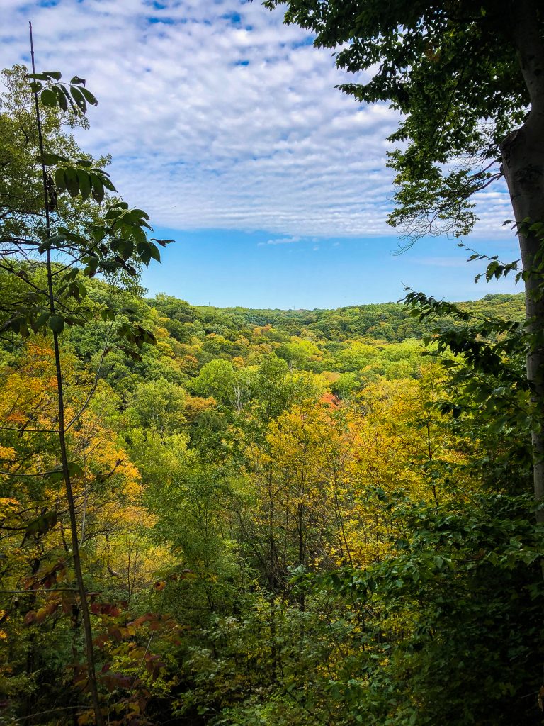 Outdoor things to do in Cleveland With kids