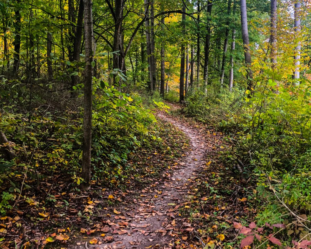 Fun Outdoor Things To Do in Richmond Indiana