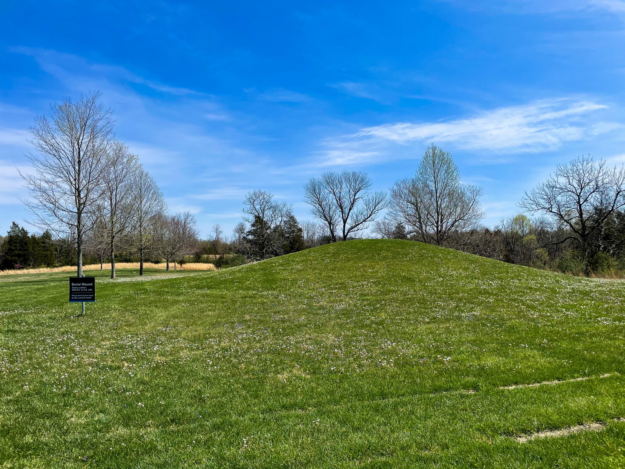 5 Fun Things To Do At Serpent Mound In Ohio • Consistently Curious