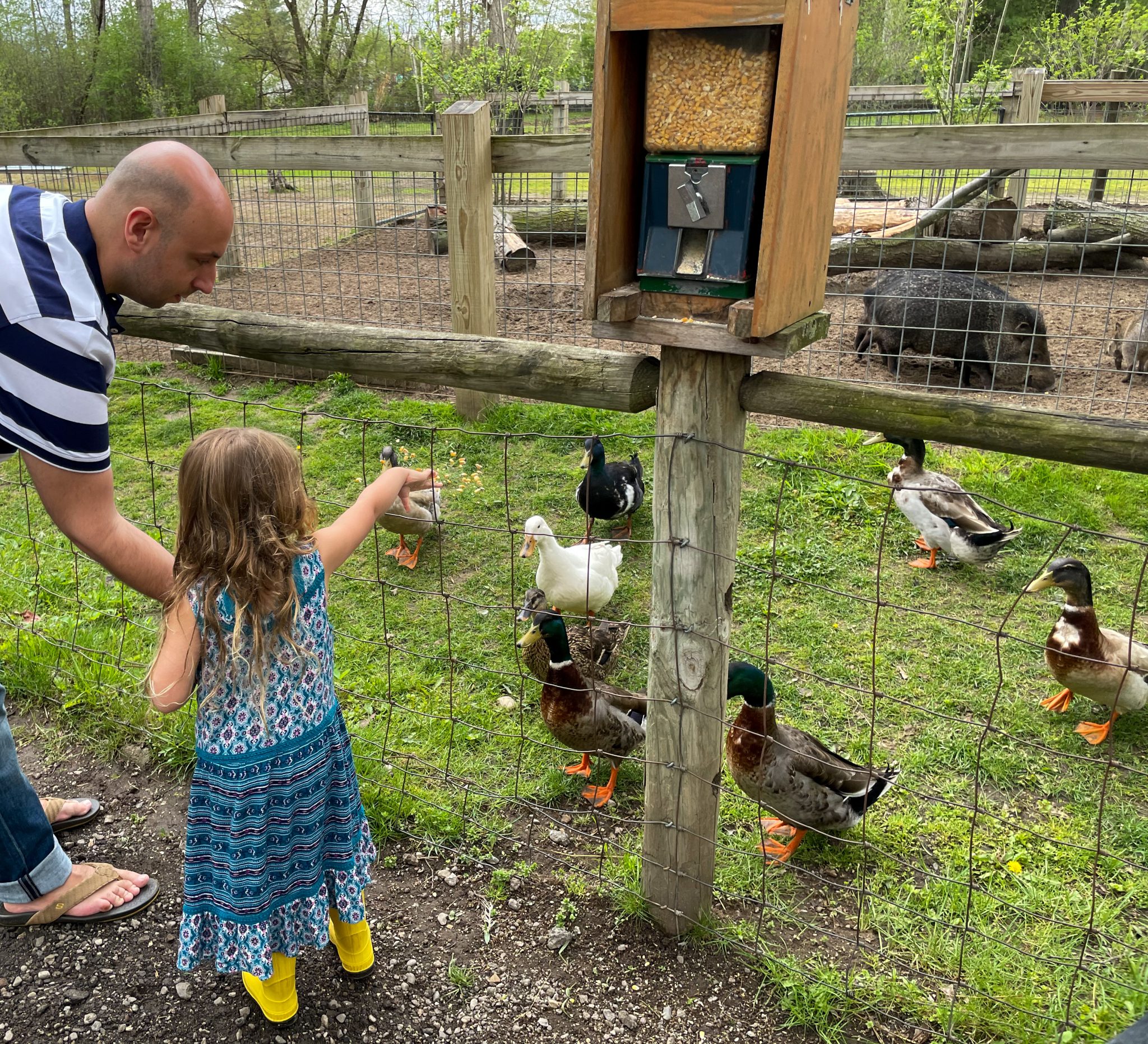 11 Exciting Things To Do In Frankenmuth, Michigan