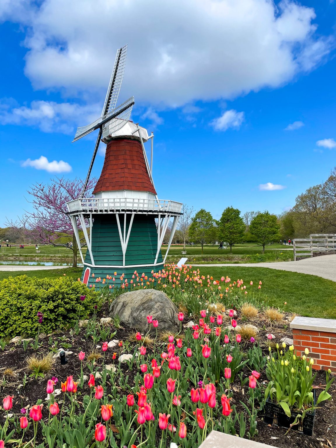 The Best Place To See Tulips In Holland Michigan