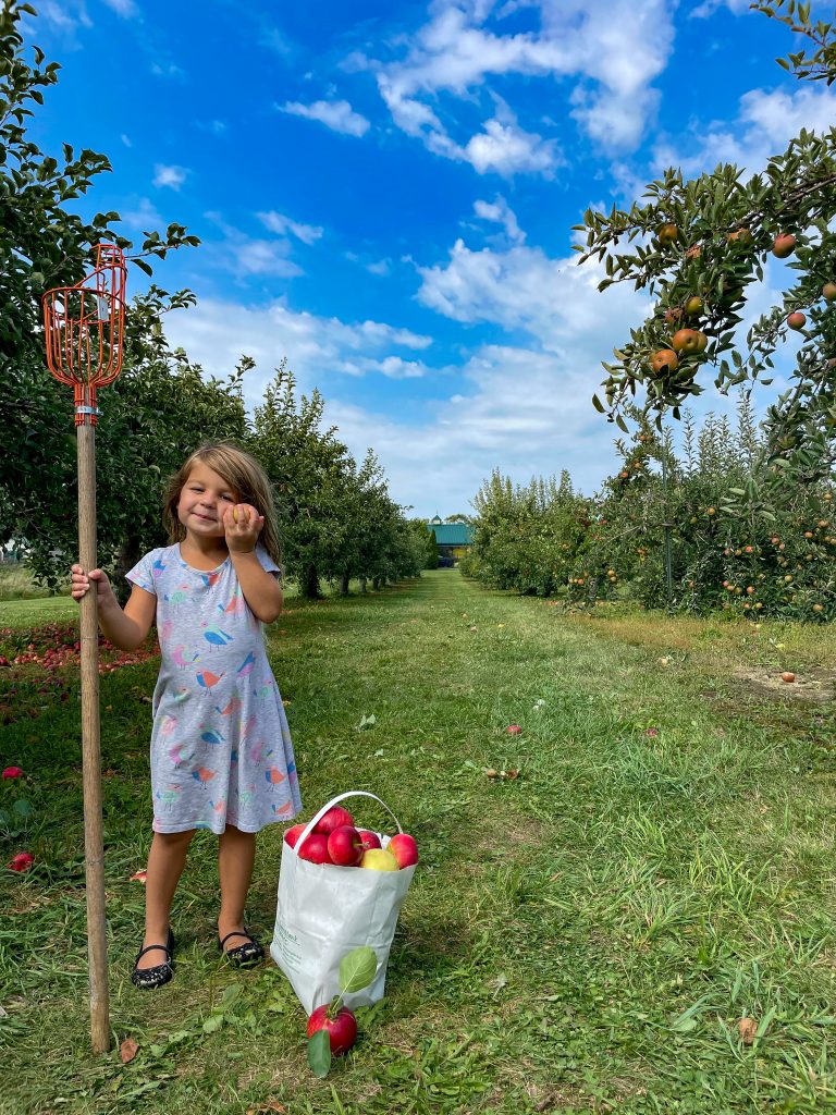Apple Picking at Cherry Hawk Farms 