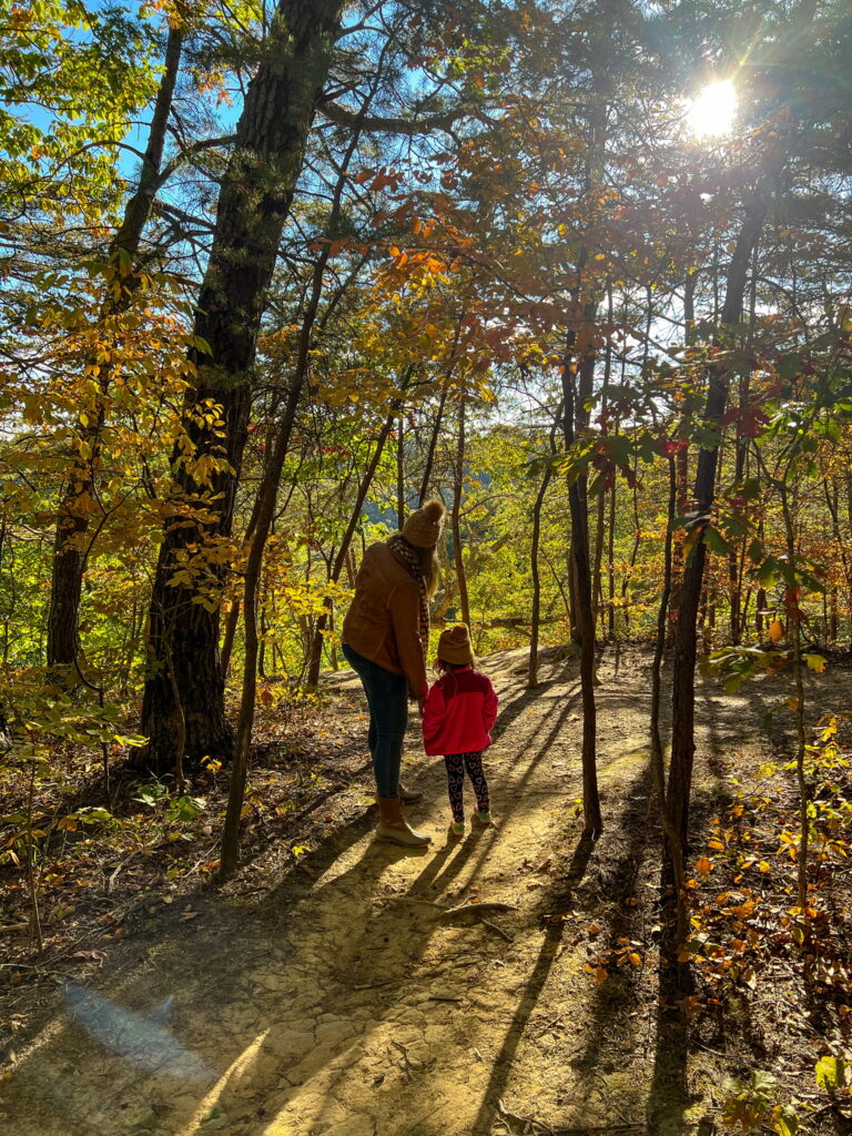 Best spots for fall foliage in Cincinnati
