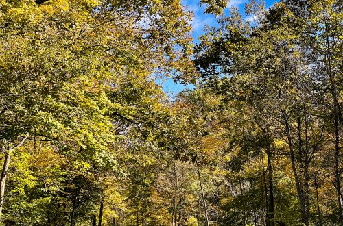 Cincinnati Fall Foliage Drive