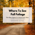 where to see fall foliage in Cincinnati