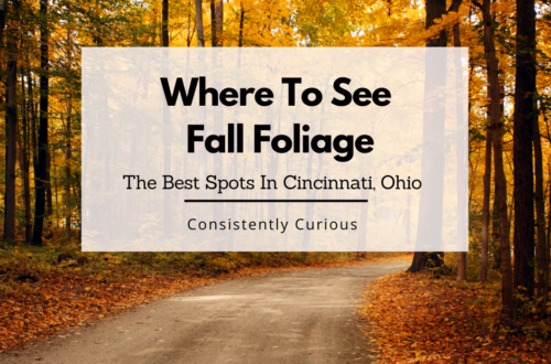 where to see fall foliage in Cincinnati