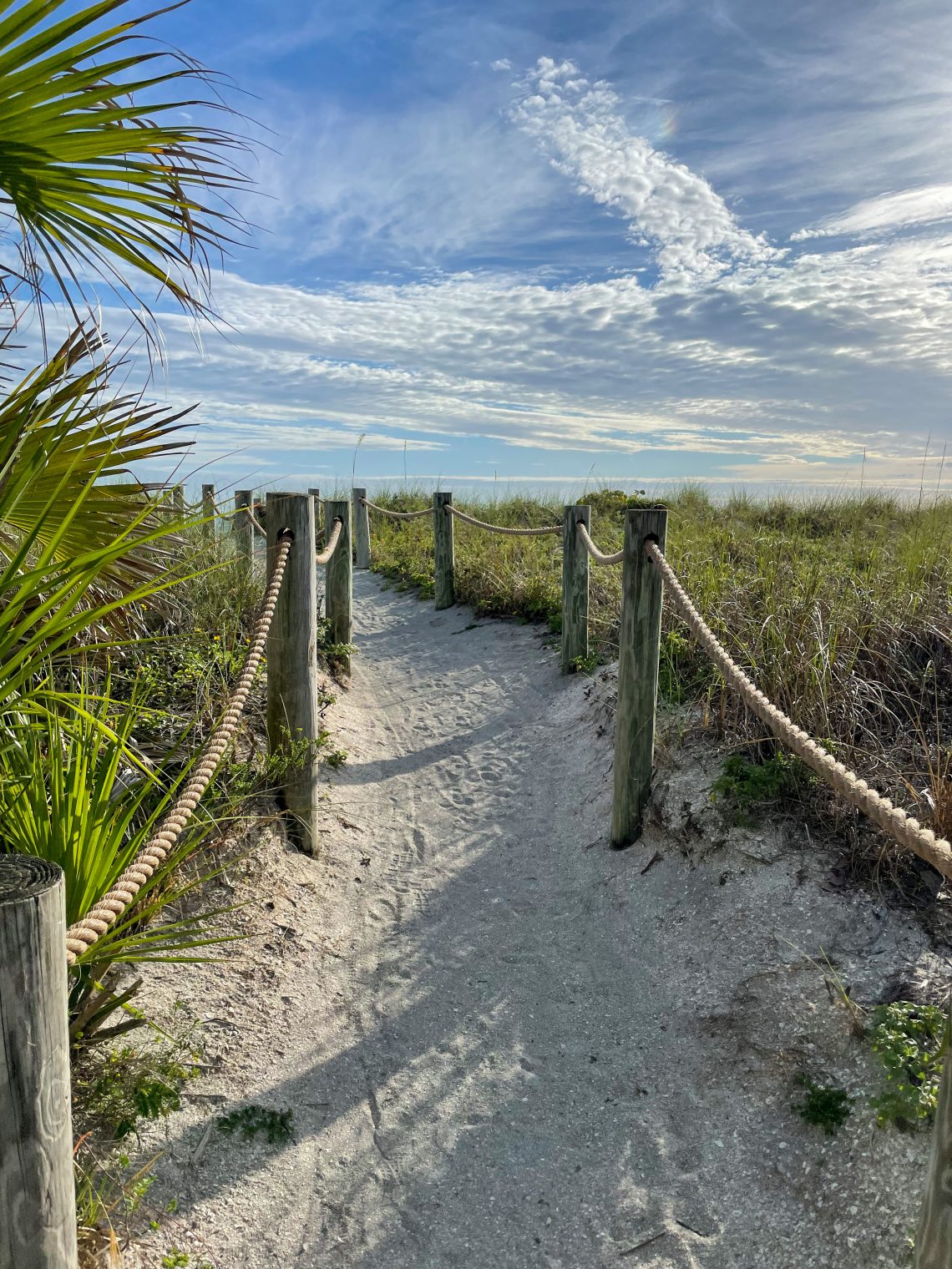 Things To Do in Siesta Key Florida