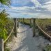 Things To Do in Siesta Key Florida