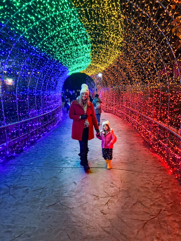 Festival of lights at the Cincinnati Zoo