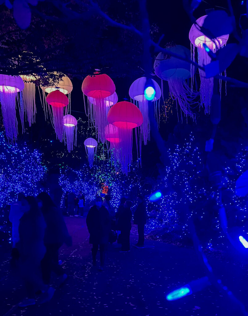Cincinnati Holiday Traditions: Festival of Lights at the Cincinnati Zoo