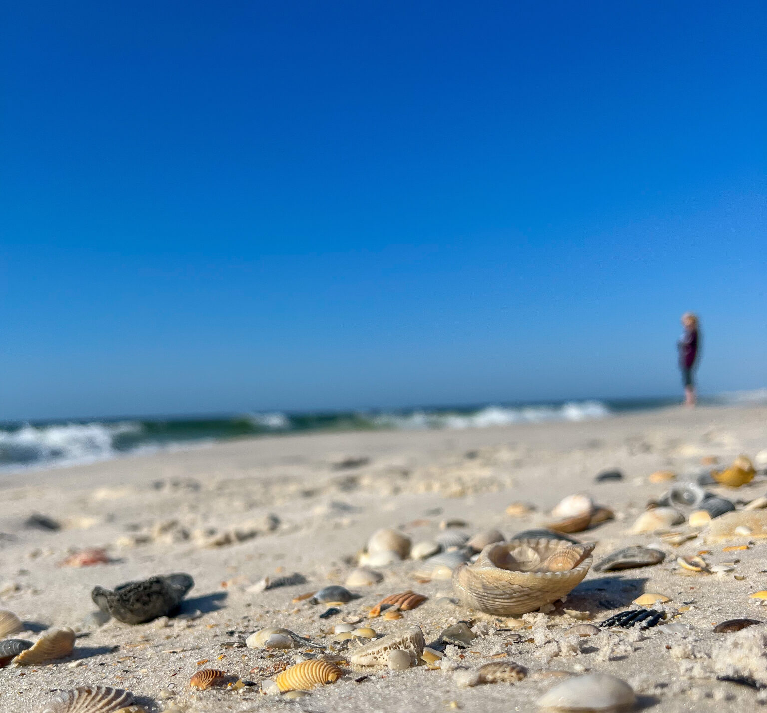 31 Fun Family Activities To Do In Gulf Shores And Orange Beach With Kids