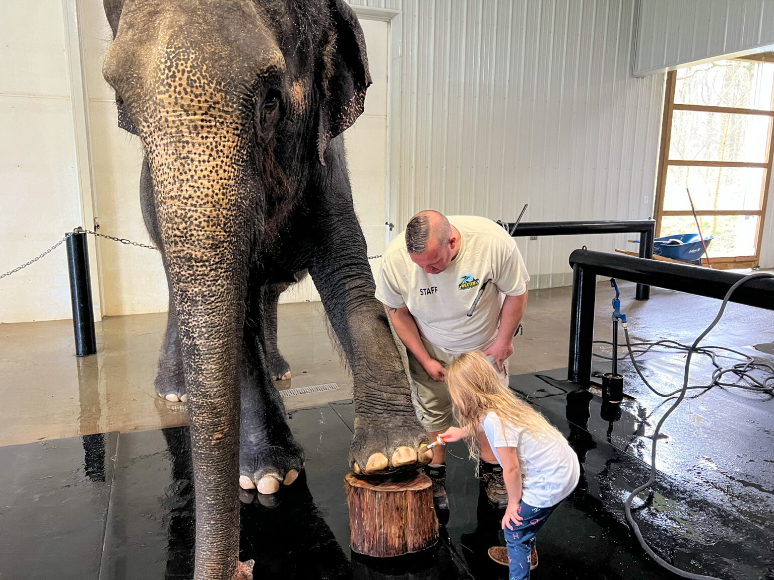 Wilstem Ranch 20 Exciting Things To Do In French Lick Indiana