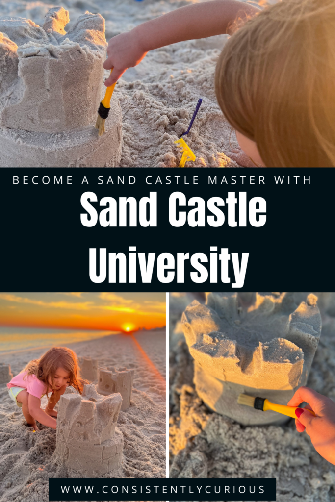 Sand Castle University in Gulf Shores and Orange Beach, AL 