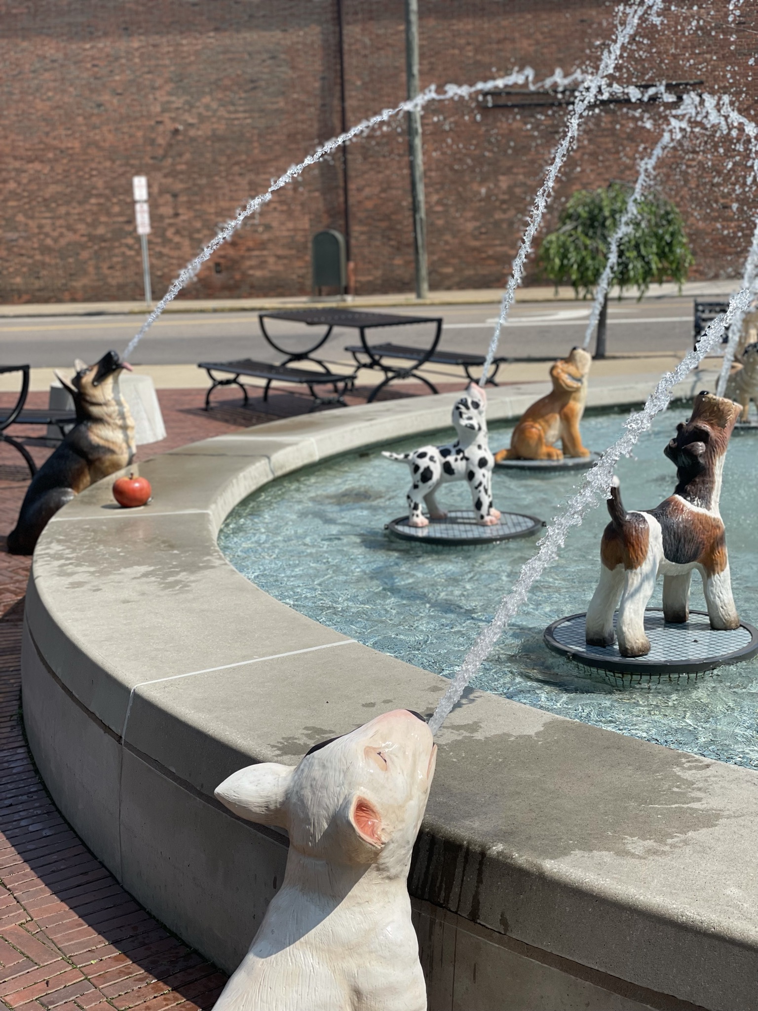 Visit The Dog Fountain In Mt. Vernon, Ohio, And These Nearby Stops