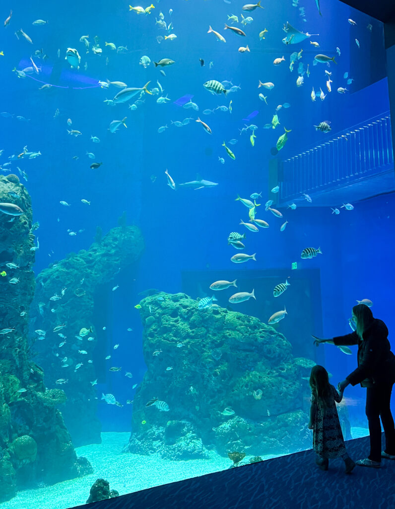 Mississippi Aquarium in Gulfport