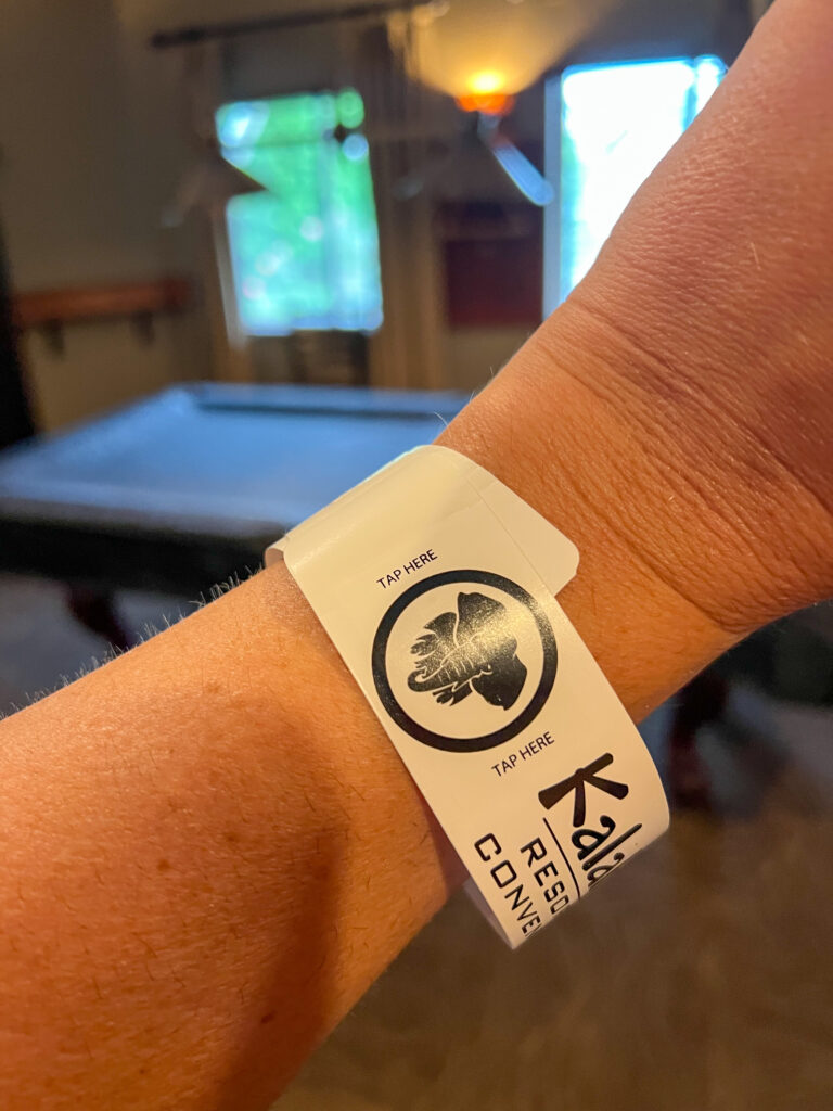 Wrist Bands are used to enter rooms and waterpark.